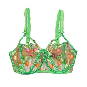 Honey Birdette Lottie Bra 34 DDD(F) NWOT Limited Edition